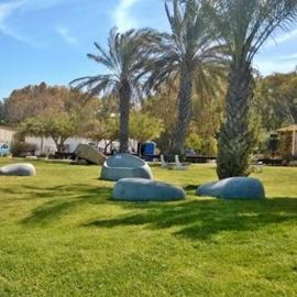 בית ספר שדה אכזיב - מדשאה - Eilat Field School - Lawn