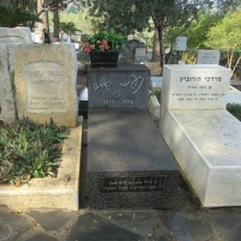 קבר נעמי שמר - The Tomb of Naomi Shemer
