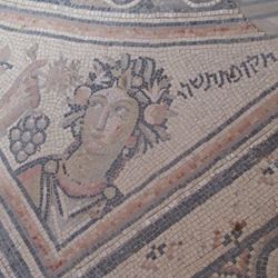 חלק מרצפת הפסיפס  - Part of the mosaic floor