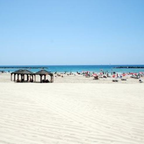 חוף אביב - Aviv Beach