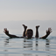 חוף מלון דיוויד - ים המלח - David Hotel Beach - Dead Sea