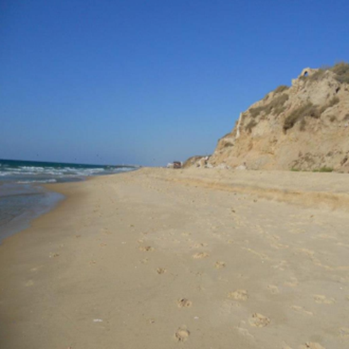 חוף לאונרדו פלאזה - ים המלח - Leonardo Plaza Beach - Dead Sea