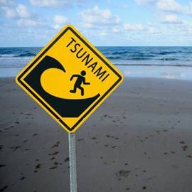 Tsunami Preparadness - היערכות למקרה צונאמי